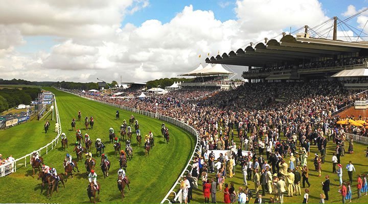 Glorious Goodwood