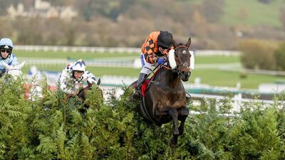 crosscountrychase_cheltenhamfestival2025.jpg