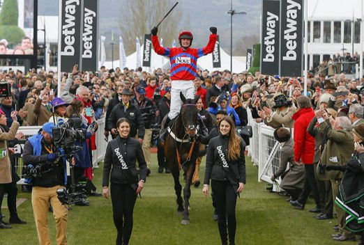 Great Cheltenham Festival Stories