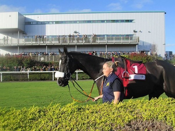 Don Cossack parading at Down Royal before winning the JN Wines Champion Chase.jpg