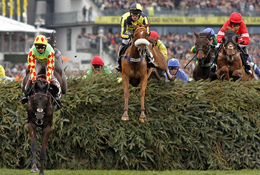 Horses Horses