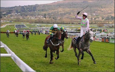 Champagne Fever and jockey celebrate a thrilling win at the Cheltenham Festival 2013