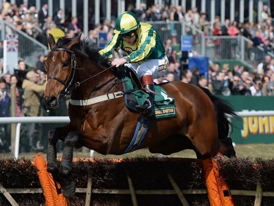 Ubak winning at Aintree in 2015.jpg