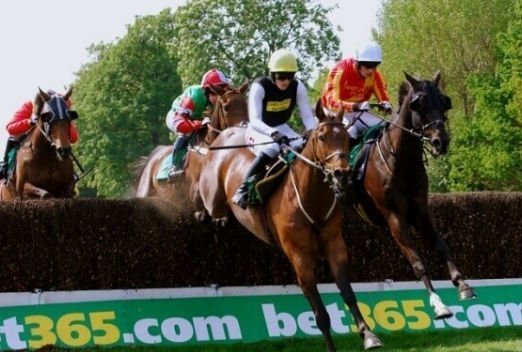 bet365 Gold Cup at Sandown