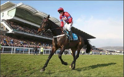 Sprinting Sacre during his victorious run at Cheltenham Festival 2013