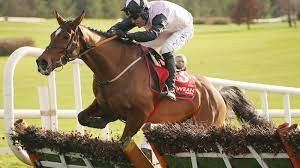 teahupoo_cheltenhamfestival2024_bestbets.jpg