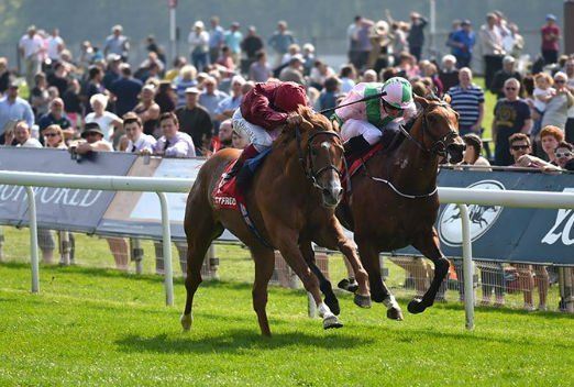 Dante Festval 2017 at York racecourse