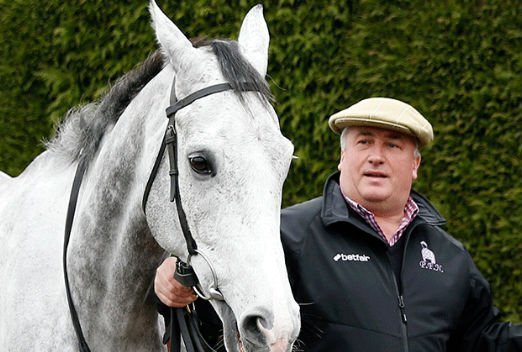 Paul Nicholls - National Hunt Racing