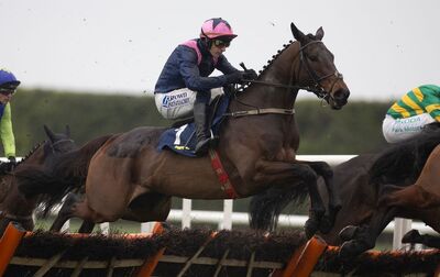 Kopek Des Bordes kopekdesbordes_williemullins_bestbets_Cheltenhamfestival2025.jpg