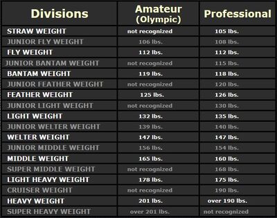 Amateur-Professional-Weight-Divisons.jpg