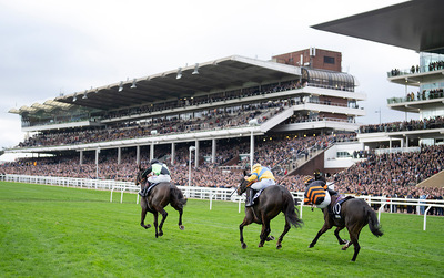 Cheltenham Festival 2026 Long Shot Bets longshotbets-cheltenhamfestival2026.jpg