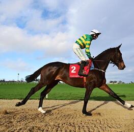 Fact To File and Jonbon Lock Horns In Ryanair Chase