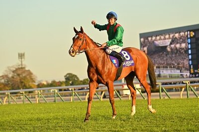 Calandangan calandagan-bestbets-ascot-championsday.jpg