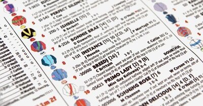horse-racing-form-guide_mini.jpg