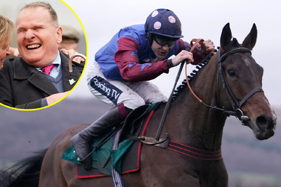 Paisley Park paisleypark-bestbets-stayershurdle-cheltenhamfestival2023.jpg