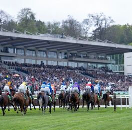 Best Bets For Sandown Bet365 Jumps Finale