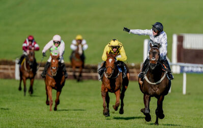 Best Bets Cheltenham Festival 2025 constitutionhill_cheltenhamfestival2024.jpg