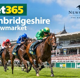 Best Bets For The Bet365 Cambridgeshire Handicap