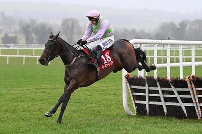Sainte Lucie saintelucie_darkhorses_cheltenhamfestival2025.jpg