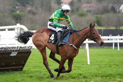 Narciso Has narcisohas-cheltenhamfestival2026-ante-post.jpg