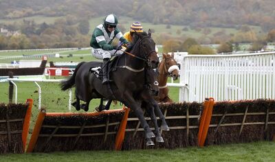 Blazing Khal blazingkhal-stayershurdle-bestbets-cheltenhamfestival2023.jpg