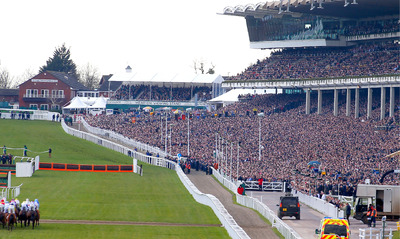 chelt-1.jpg
