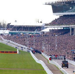 Bring on the jumps! The Cheltenham William Hill Showcase Meeting