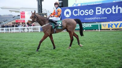 askbrewster_bet365goldcup-bestbets.jpg