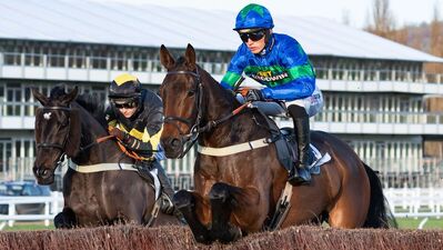 David's Well davidswell-longshots-cheltenhamfestival2026.jpg