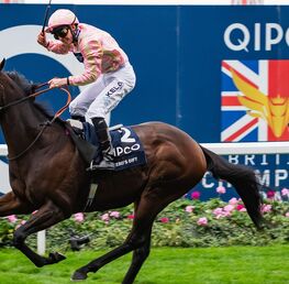 Best Bets For Ascot Champions Day