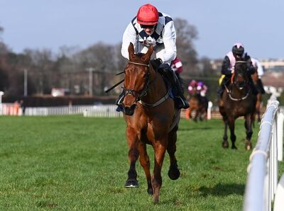 ballyburn_cheltenhamfestivalday2.jpg