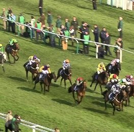 Best Bets For Cheltenham Festival 2026