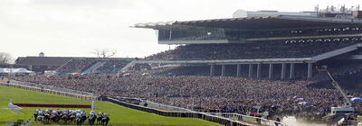 Cheltenham-Festival-beginnersguide.jpg
