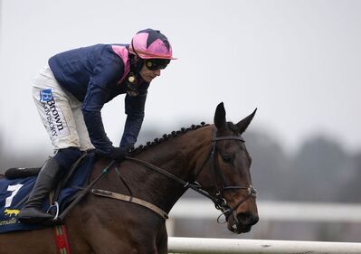 Kopek Des Bordes kopekdesbordes_cheltenhamfestival2026-antepost.jpg