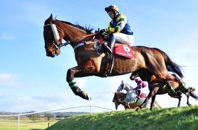 The Cross Country Chase. Great to watch but best avoided as a betting proposition!.jpg
