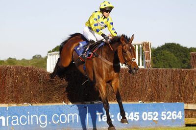 Secret Investor secretinvestor_cheltenhamfestival2024_longshots.jpg