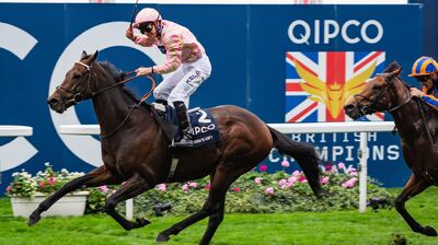 Ascot Champions Day ascotchampionsday_bestbets.jpg