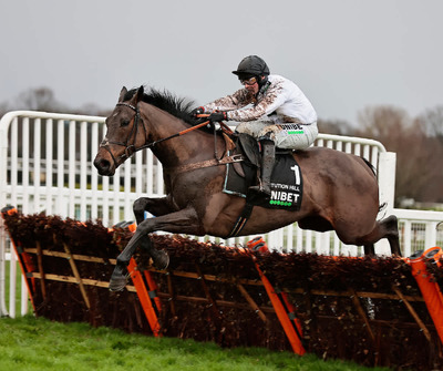 constitutionhill_championhurdle_bestbets.jpg