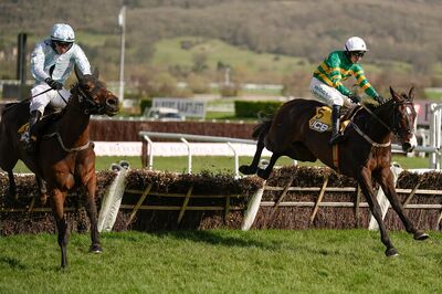 Majborough majborough_bankers_cheltenhamfestival2025.jpeg