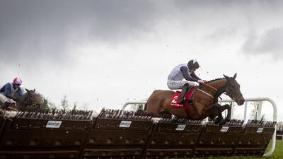 spinningayarn-darkhorses-cheltenhamfestival2026.jpg