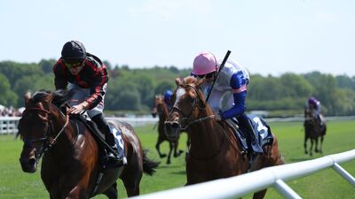 maltesecross-betfredderby.jpg